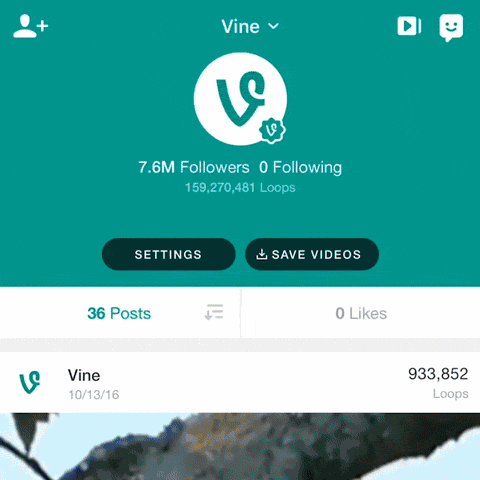 vine-video-app