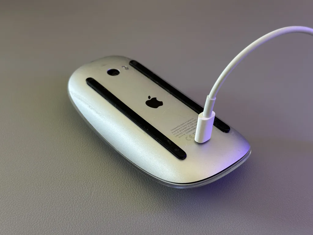 Apple Magic Mouse