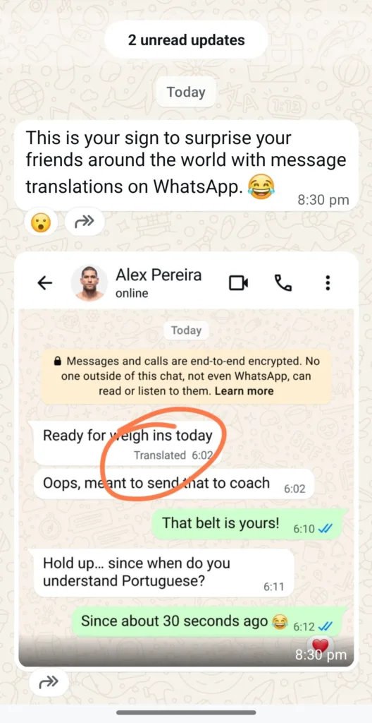 תרגום בהודעות וואטסאפ | תמונה: WhatsApp