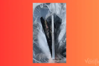 מקרה בודד? | תמונה: Cheoeuijan-ah