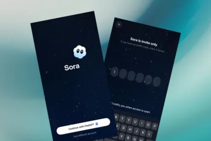 Sora | תמונה: אלדד מטמון, The Verifier