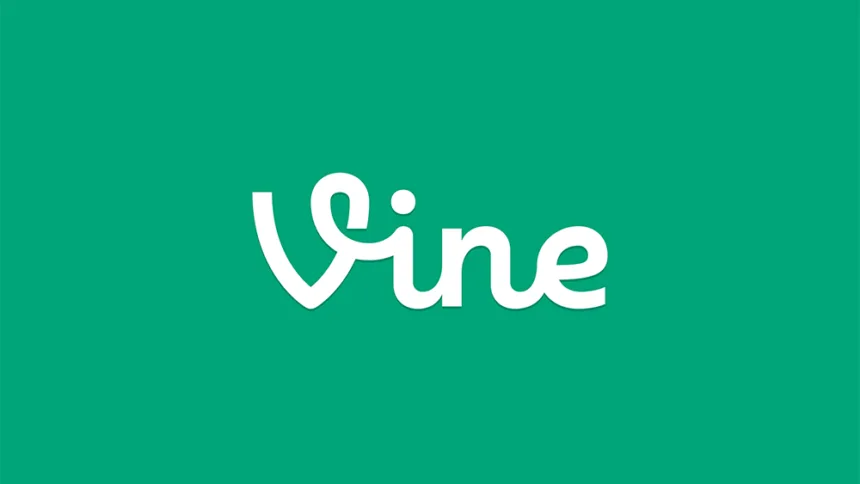 לוגו Vine | תמונה: Vine