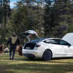 Model 3 גרסה סטנדרתית | תמונה: טסלה