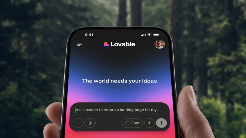 תמונה: Lovable