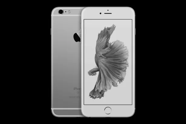 iPhone 6S | תמונה: אפל