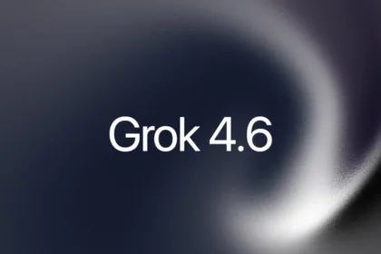 Grok 4.6 | תמונה: SpaceXAI